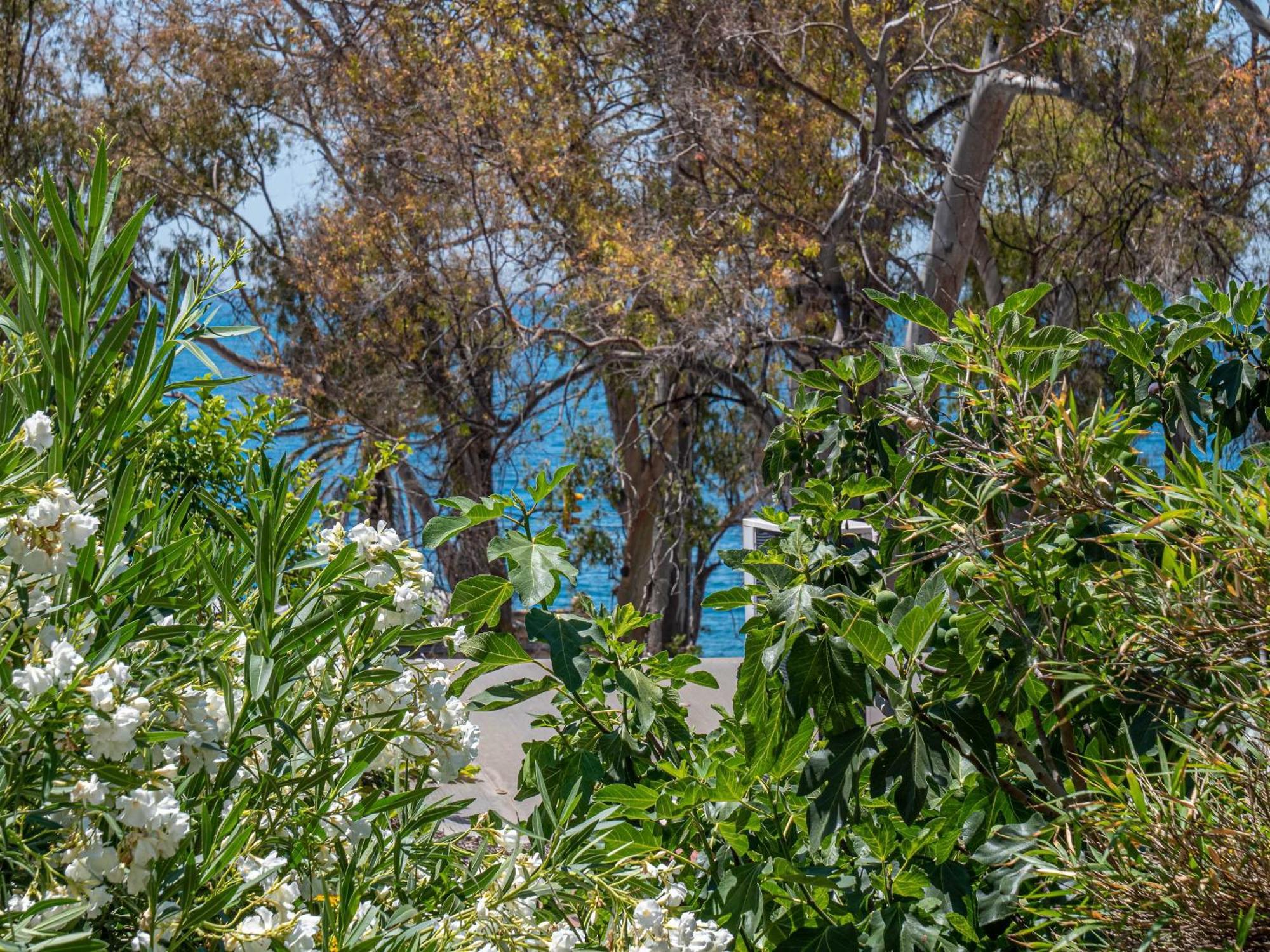 Blue Sea - Houses With Terrace Malaga Bagian luar foto
